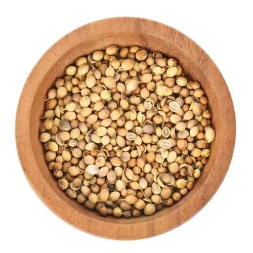 Eagle Corinder Seeds