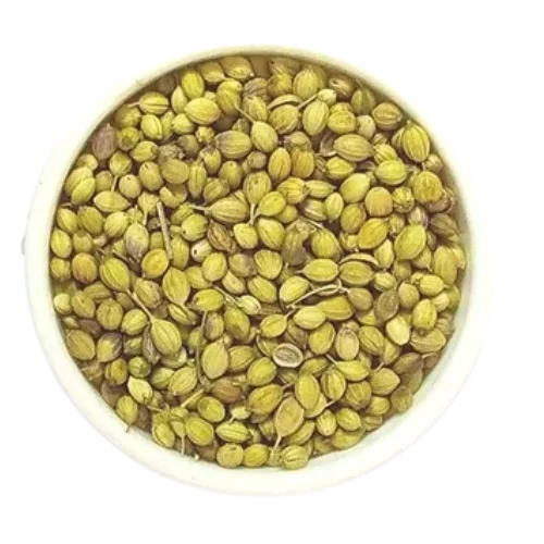 Parrot Corinder Seeds