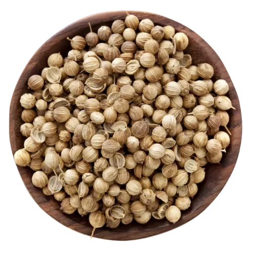 Scooter Corinder Seeds