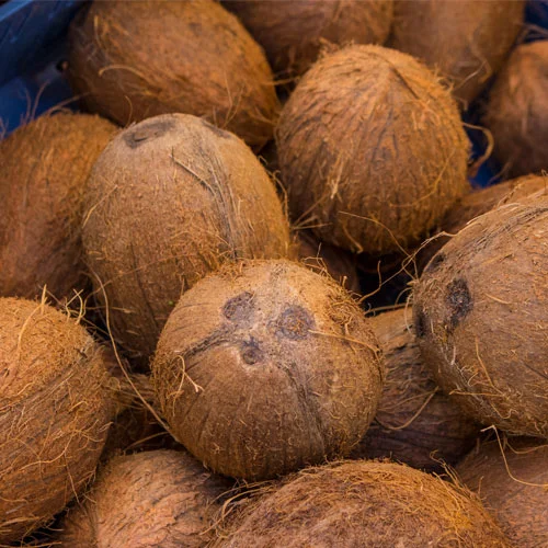Semi Husded Coconut